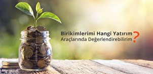 Birikimlerimi Nasıl Değerlendirebilirim?