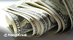 Dolarizasyon Nedir? Hangi Durumlarda Tercih Edilir?