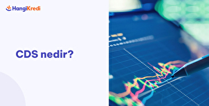CDS Nedir?