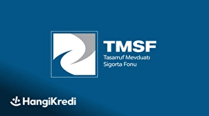 TMSF Nedir? Ne İş Yapar?