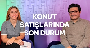 Konut Almak mı Yatırım Yapmak mı Daha Mantıklı?
