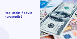 Reel Efektif Döviz Kuru Nedir? 