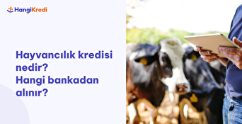 Hayvancılık Kredisi Nedir, Hangi Bankadan Alınır?