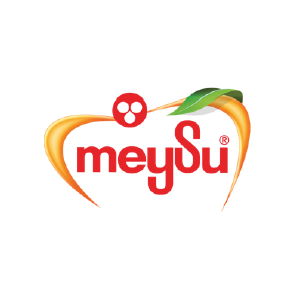 MEYSU GIDA
